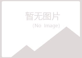 汉川盼夏计算机有限公司